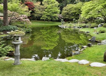 How To Design a Garden For Privacy