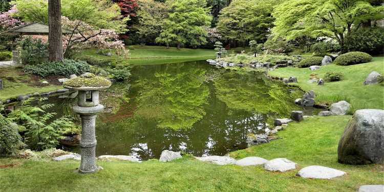 How To Design a Garden For Privacy
