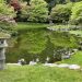 How To Design a Garden For Privacy