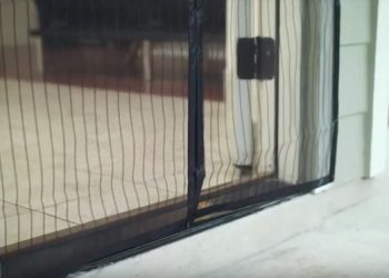 Top-Rated Door Screen Choices: Keep Bugs Out!