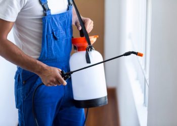 Here Are the Best Pest Control Tips and Tricks