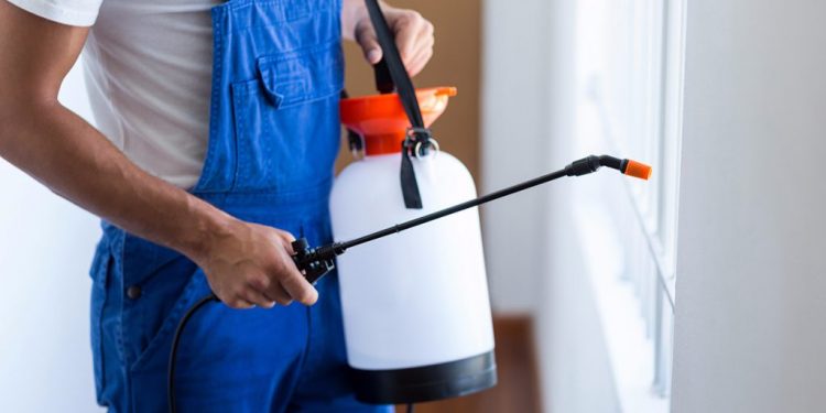 Here Are the Best Pest Control Tips and Tricks