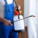 Here Are the Best Pest Control Tips and Tricks