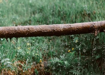 How to Tell if Your Sewer Line is in Need of Repair