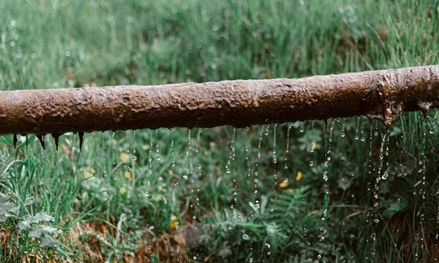 How to Tell if Your Sewer Line is in Need of Repair