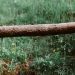 How to Tell if Your Sewer Line is in Need of Repair